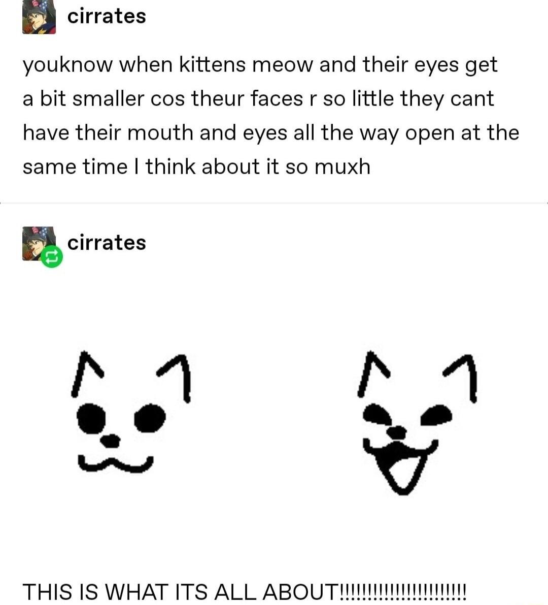cirrates youknow when kittens meow and their eyes get a bit smaller cos theur faces r so little they cant have their mouth and eyes all the way open at the same time think about it so muxh ucirrates THIS IS WHAT ITS ALL ABOU