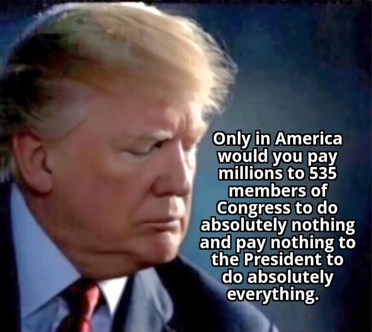 Only in America would you pay millions to 535 members of Congress to do absolutely nothing and pay nothing to the President to do absolutely everything.