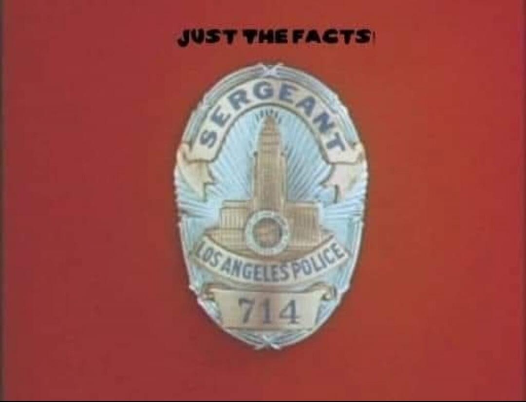 JUST THE FACTS! SERGEANT LOS ANGELES POLICE 714