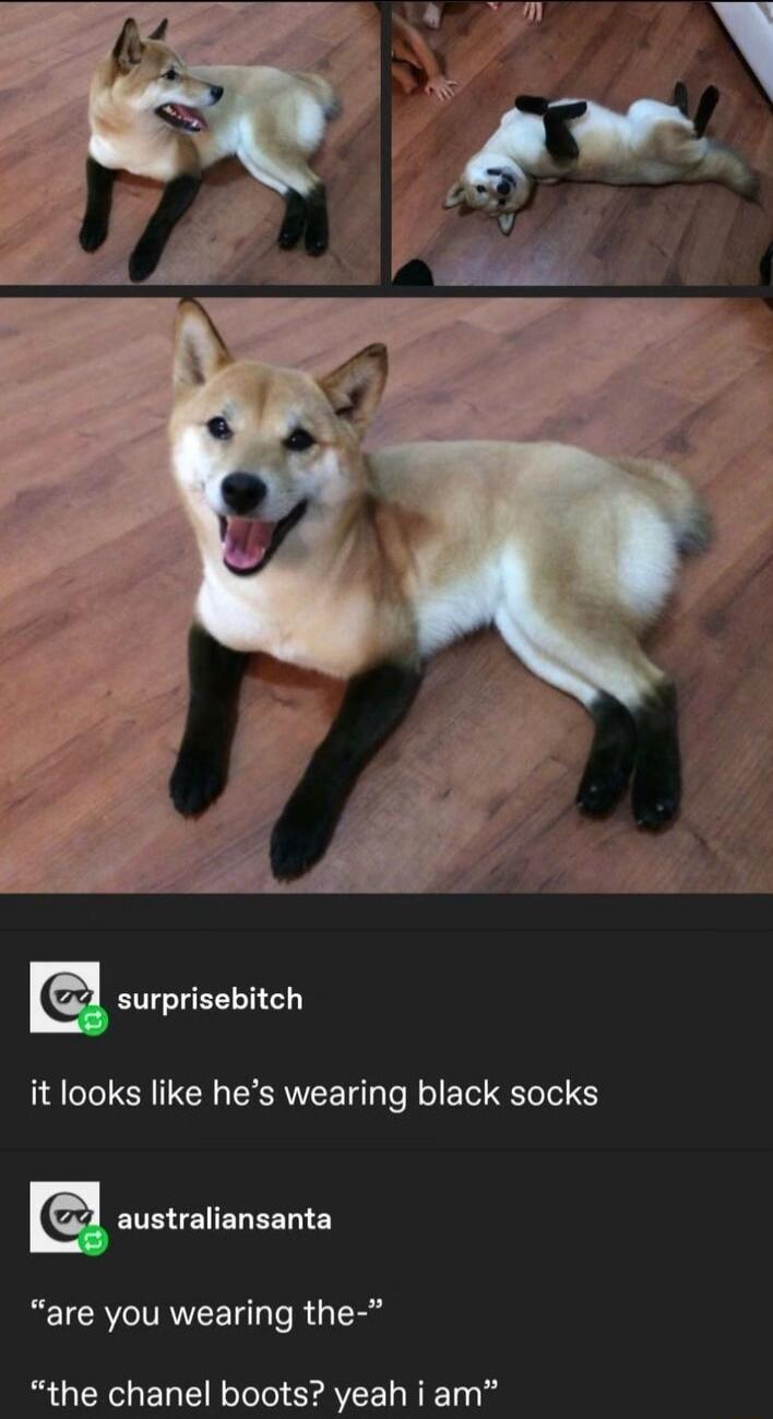 it looks like hes wearing black socks australiansanta are you wearing the the chanel boots yeah i am