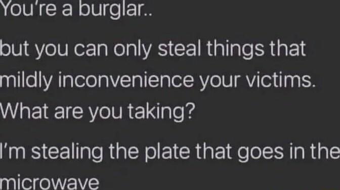 Youre a burglar but you can only steal things that pallleYAlalelolaVTa1aTol RV oBI YTel aa I WHETE R Re1ale 4 IS CENae RGNl EICRGE Ee ISR Al microwave