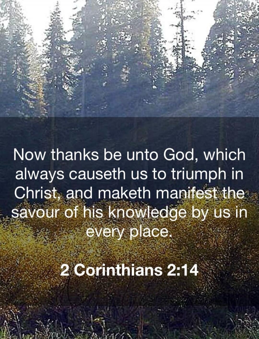 Now thanks be unto God, which always causeth us to triumph in Christ, and maketh manifest the savour of his knowledge by us in every place.

2 Corinthians 2:14