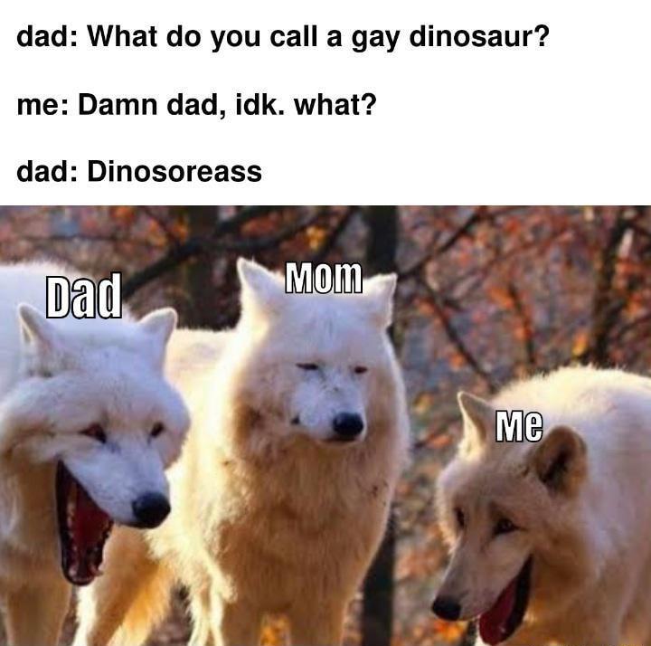 dad What do you call a gay dinosaur me Damn dad idk what dad Dinosoreass