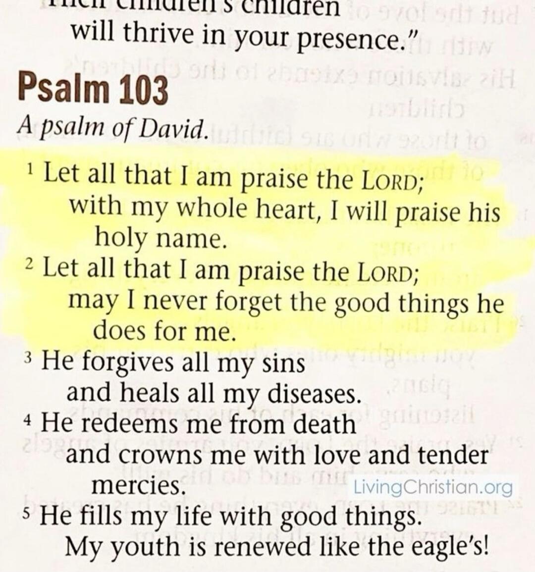 Psalm 103
A psalm of David.

1 Let all that I am praise the LORD; with my whole heart, I will praise his holy name.
2 Let all that I am praise the LORD; may I never forget the good things he does for me.
3 He forgives all my sins and heals all my diseases.
4 He redeems me from death and crowns me with love and tender mercies.
5 He fills my life wit