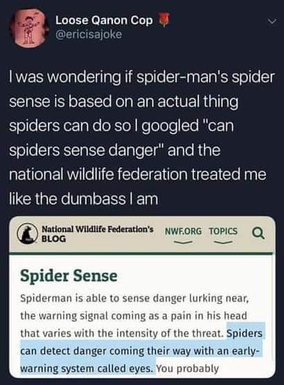 Loose Qanon Cop GRS WERSWelaleSlilale NIk olle IS a0 e 18 sense is based on an actual thing spiders can do so googled can spiders sense danger and the national wildlife federation treated me like the dumbass am National Wildlife Federations NWFORG TOPICS Q BLOG Spider Sense Spiderman is able to langer lurking near the warning signal coming as a pain in his head that varies with the intensity of th