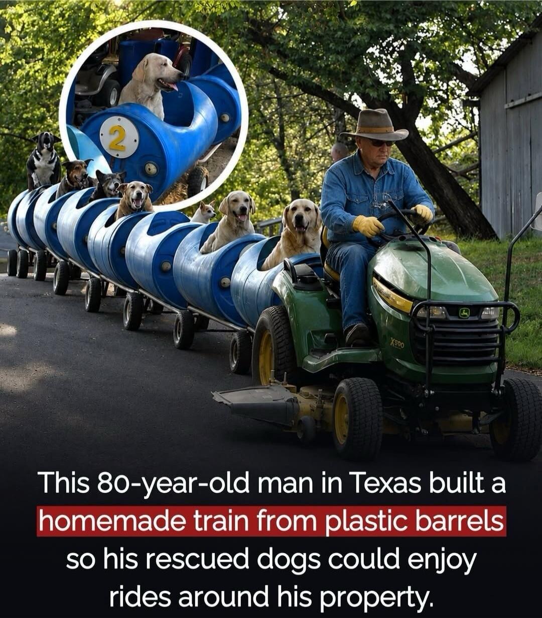 This 80-year-old man in Texas built a homemade train from plastic barrels so his rescued dogs could enjoy rides around his property. There is also a number '2' visible on one of the barrels.