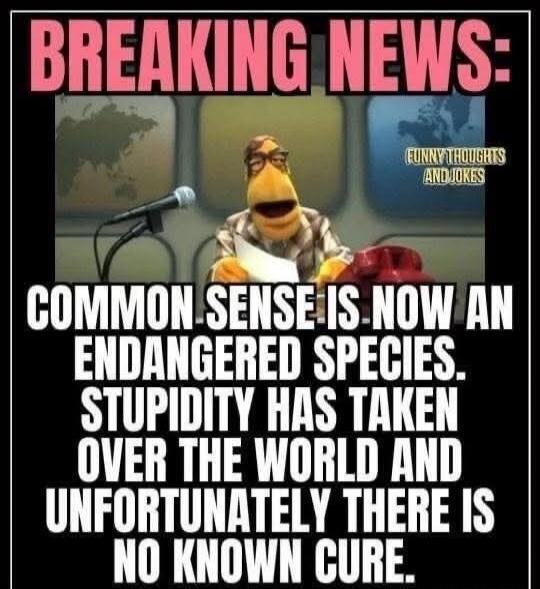 BREAKING NEWS: COMMON SENSE IS NOW AN ENDANGERED SPECIES. STUPIDITY HAS TAKEN OVER THE WORLD AND UNFORTUNATELY THERE IS NO KNOWN CURE. FUNNY THOUGHTS AND JOKES