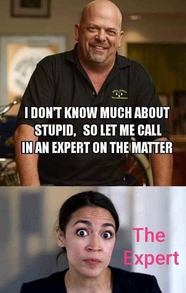 I DON'T KNOW MUCH ABOUT STUPID, SO LET ME CALL IN AN EXPERT ON THE MATTER
The Expert