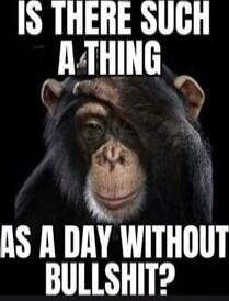 IS THERE SUCH A THING AS A DAY WITHOUT BULLSHIT?