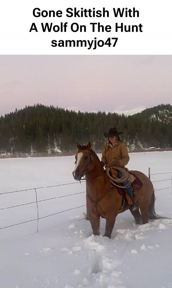 Gone Skittish With A Wolf On The Hunt sammyjo47
