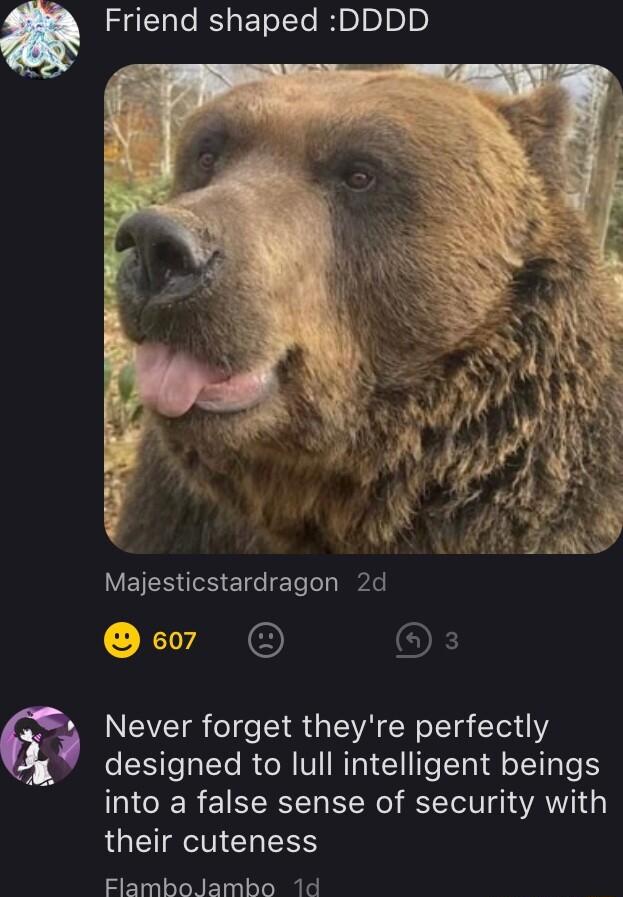 Q Friend shaped DDDD VETES S ET e TeTelabeds 7 OF designed to lull intelligent beings into a false sense of security with their cuteness ElamboJambo 1d Never forget theyre perfectly