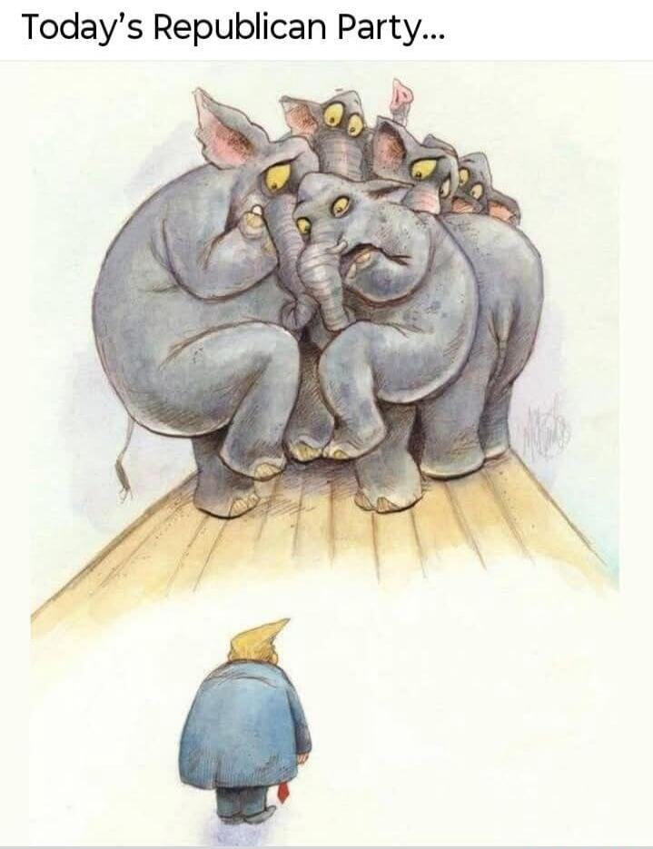 Today's Republican Party... A political cartoon depicting a group of elephants, symbolizing the Republican Party, huddled together on a ledge, looking apprehensive. Below them, a figure resembling Donald Trump stands alone, looking up at the elephants.