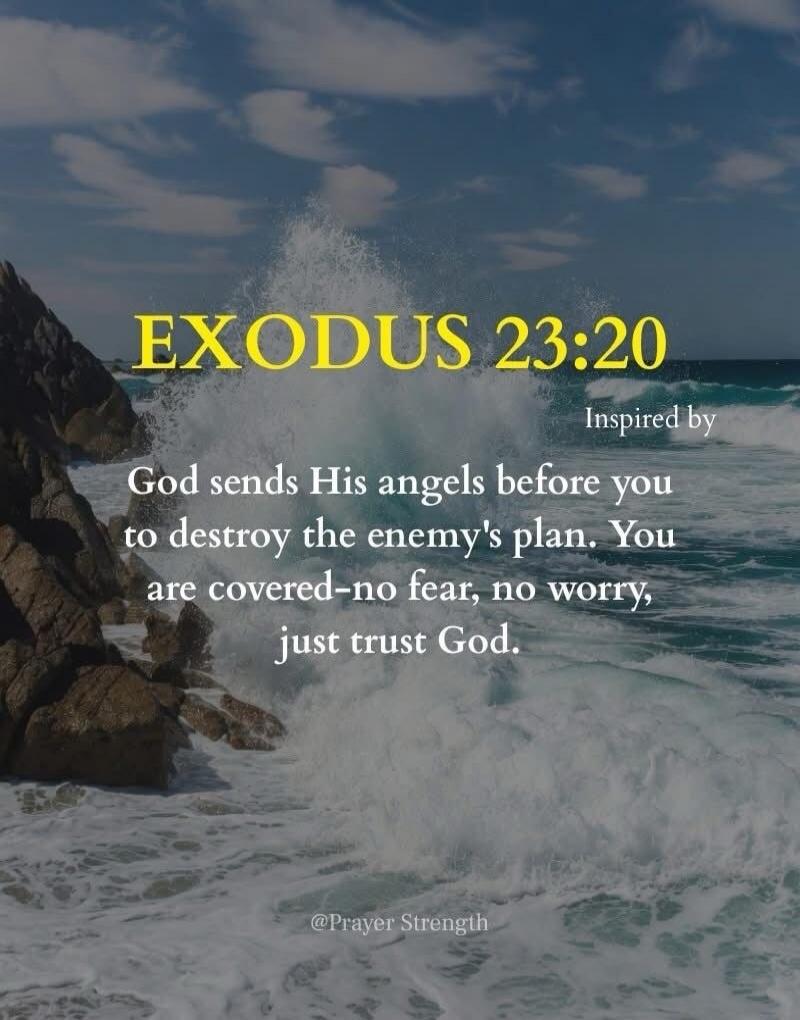EXODUS 23:20 Inspired by God sends His angels before you to destroy the enemy's plan. You are covered - no fear, no worry, just trust God. @Prayer Strength