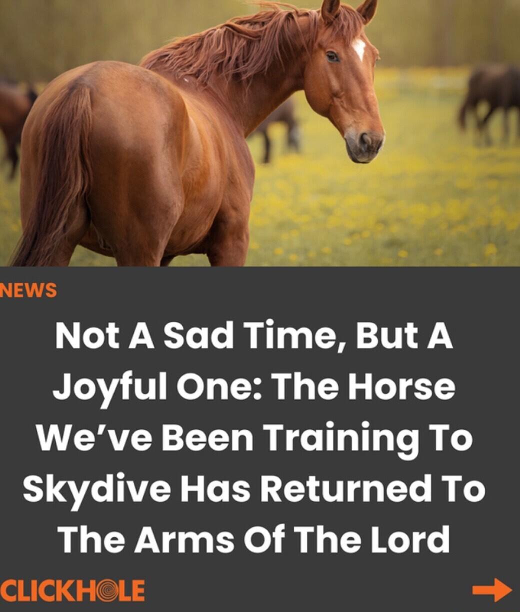 Not A Sad Time But A Joyful One The Horse Weve Been Training To L1V NN L R e AT T Te i 1 The Arms Of The Lord