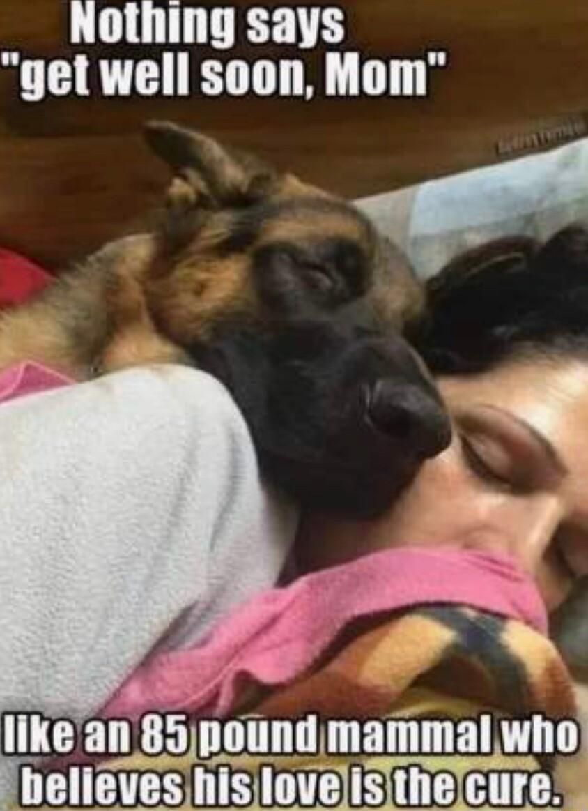 like nmmal ivunalwno i_llsllllll IBUDETS