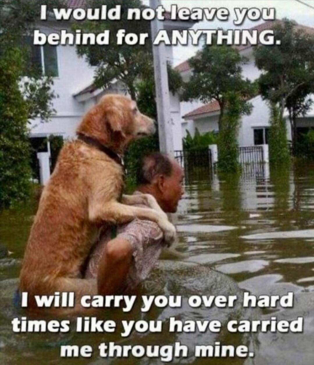 I would not leave you behind for ANYTHING. I will carry you over hard times like you have carried me through mine.