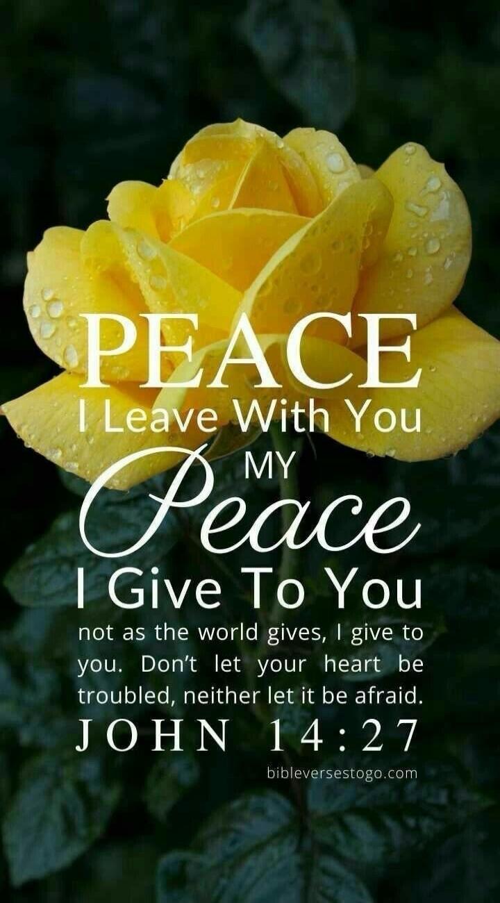 PEACE I Leave With You MY Peace I Give To You not as the world gives, I give to you. Don't let your heart be troubled, neither let it be afraid. JOHN 14:27 bibleversestogo.com