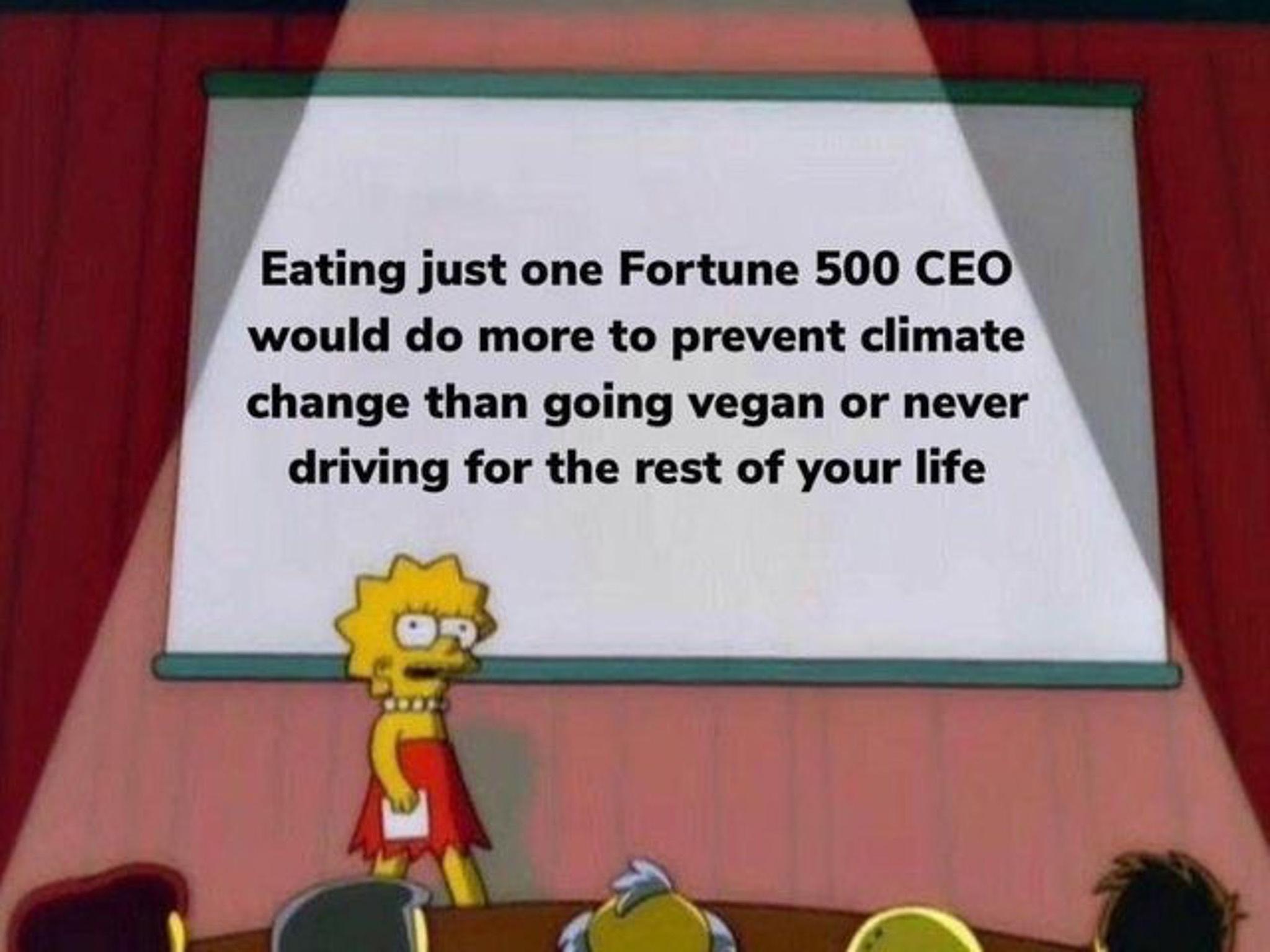 Eating just one Fortune 500 CEO would do more to prevent climate change than going vegan or never driving for the rest of your life