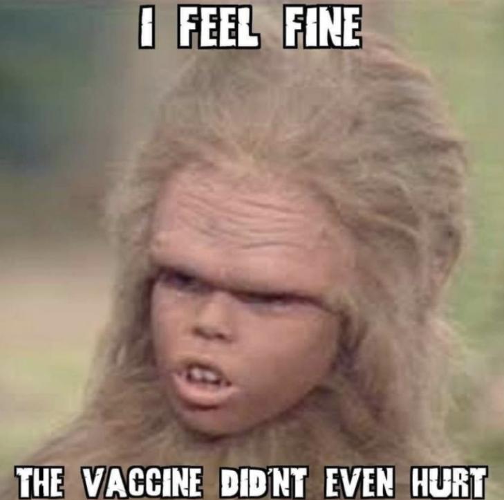 INFEELSFINE THEVACCINE DIDNT EVEN HURT