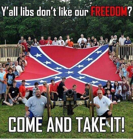 Y'all libs don't like our FREEDOM? COME AND TAKE IT!