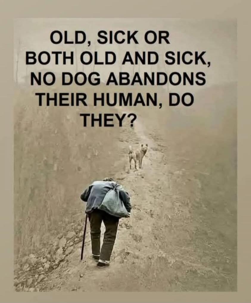 OLD, SICK OR BOTH OLD AND SICK, NO DOG ABANDONS THEIR HUMAN, DO THEY?