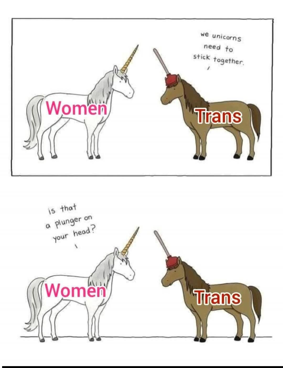 Women Trans we unicorns need to stick together. is that a plunger on your head?