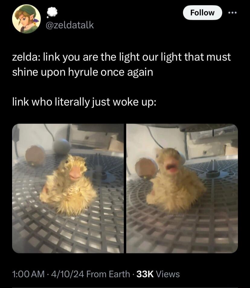 CELEES zelda link you are the light our light that must shine upon hyrule once again link who literally just woke up 100AM 41024 From Earth 33K Views