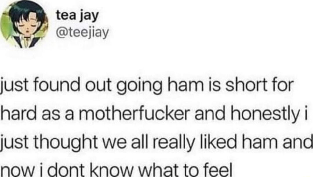 tea jay teejiay just found out going ham is short for hard as a motherfucker and honestly i just thought we all really liked ham and now i dont know what to feel