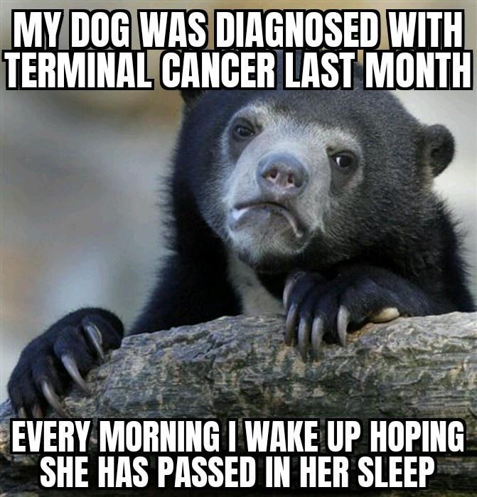 rEVERY MORNING WAIE up HOPIIIE o SHE HAS PASSED IN HER SLEEP