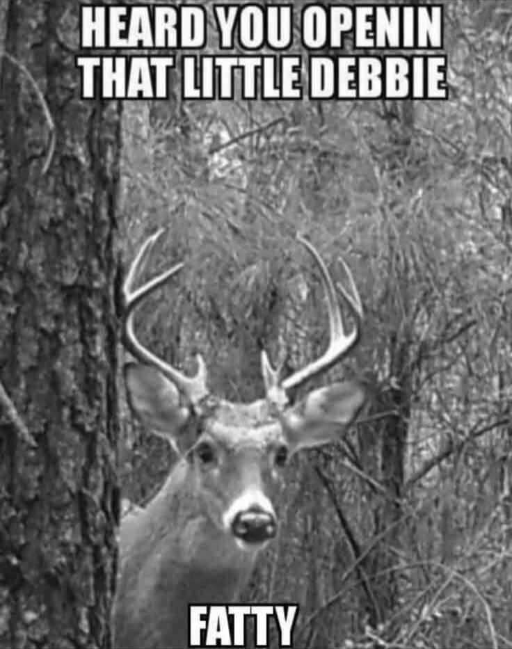 HEARD YOU OPENIN THAT LITTLE DEBBIE FATTY