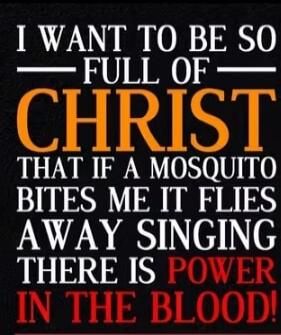 I WANT TO BE SO FULL OF CHRIST THAT IF A MOSQUITO BITES ME IT FLIES AWAY SINGING THERE IS POWER IN THE BLOOD!