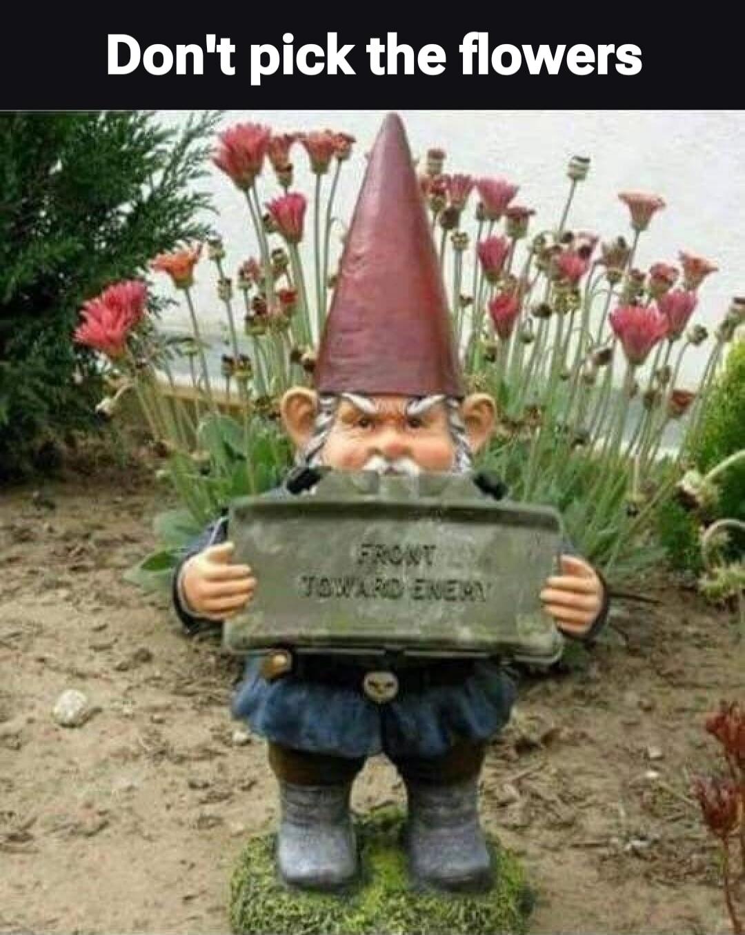 Don't pick the flowers