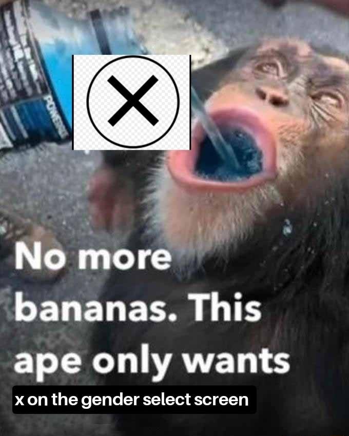 bananas This XL VAVEL LS xon the gender select screen