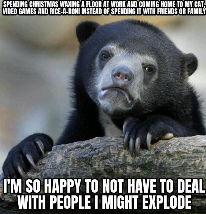 SPENDING CHRISTMAS Ill AT WORK AND COMING HOME T0 MY CAT OF SPENDING IT WITH FRIENDS OR FAMILY M SIIHIIPPY 10 Illll IIIWE IlElll WITH PEOPLE MIGHT EXPLODE