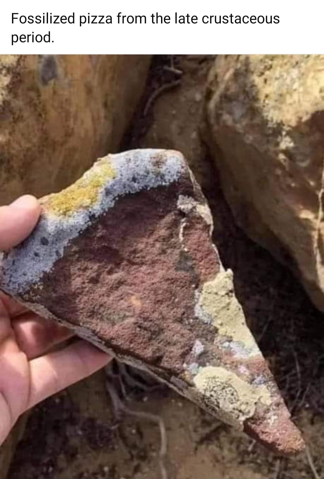 Fossilized pizza from the late crustaceous period