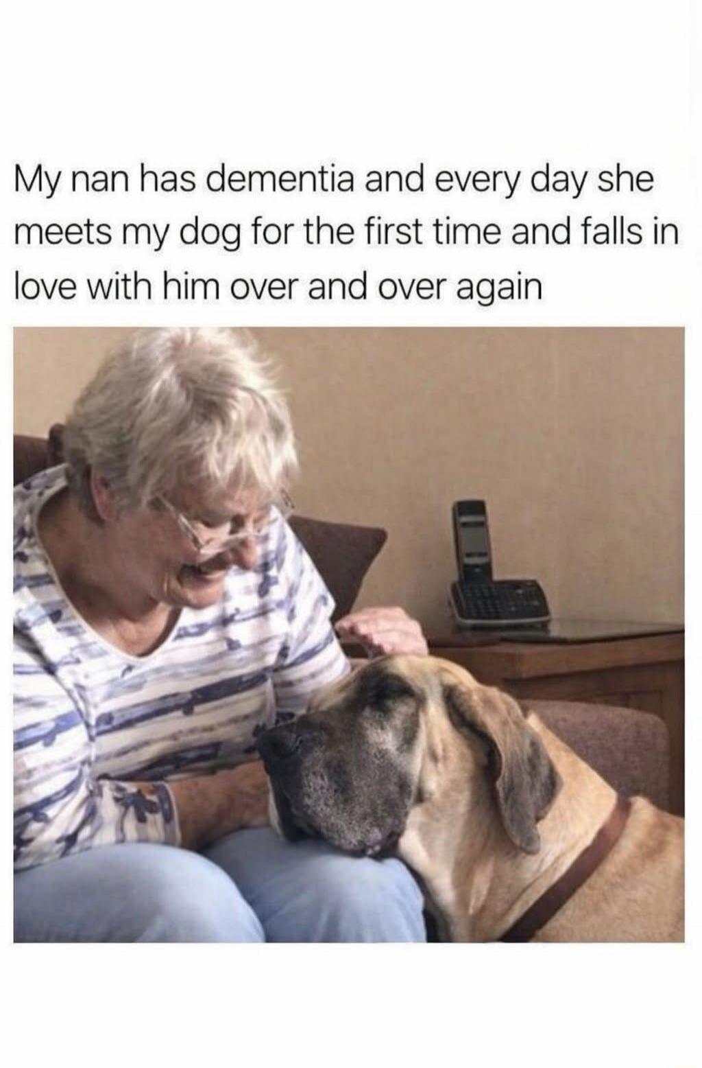 My nan has dementia and every day she meets my dog for the first time and falls in love with him over and over again