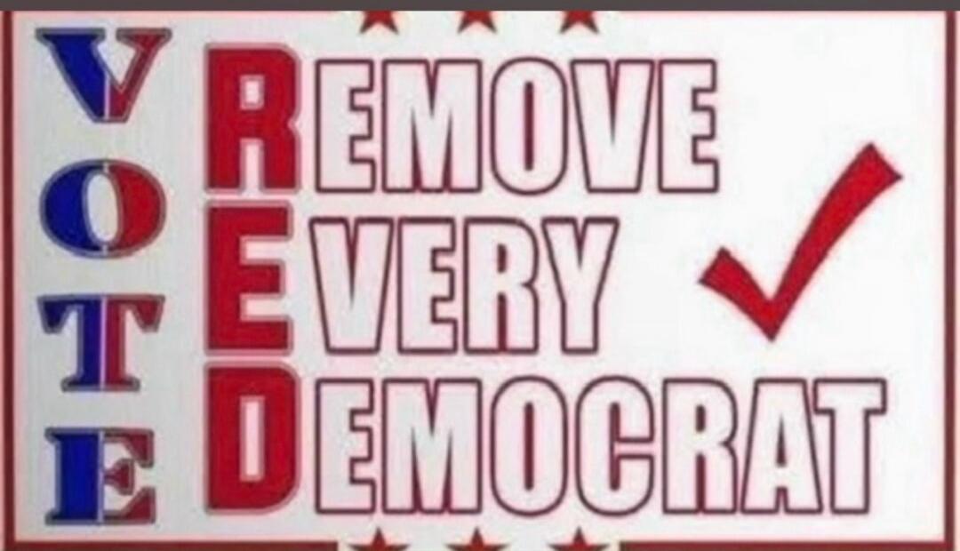VOTE / REMOVE EVERY DEMOCRAT