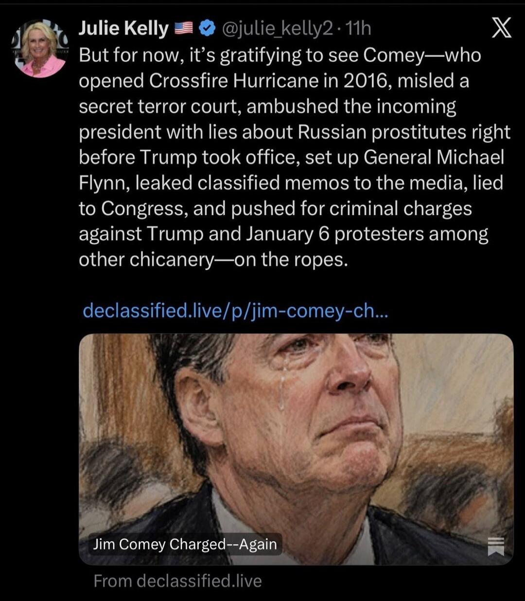 Julie Kelly @julie_kelly2 11h But for now, it's gratifying to see Comey-who opened Crossfire Hurricane in 2016, misled a secret terror court, ambushed the incoming president with lies about Russian prostitutes right before Trump took office, set up General Michael Flynn, leaked classified memos to the media, lied to Congress, and pushed for crimina