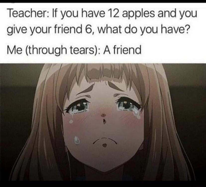 Teacher If you have 12 apples and you give your friend 6 what do you have Me through tears A friend