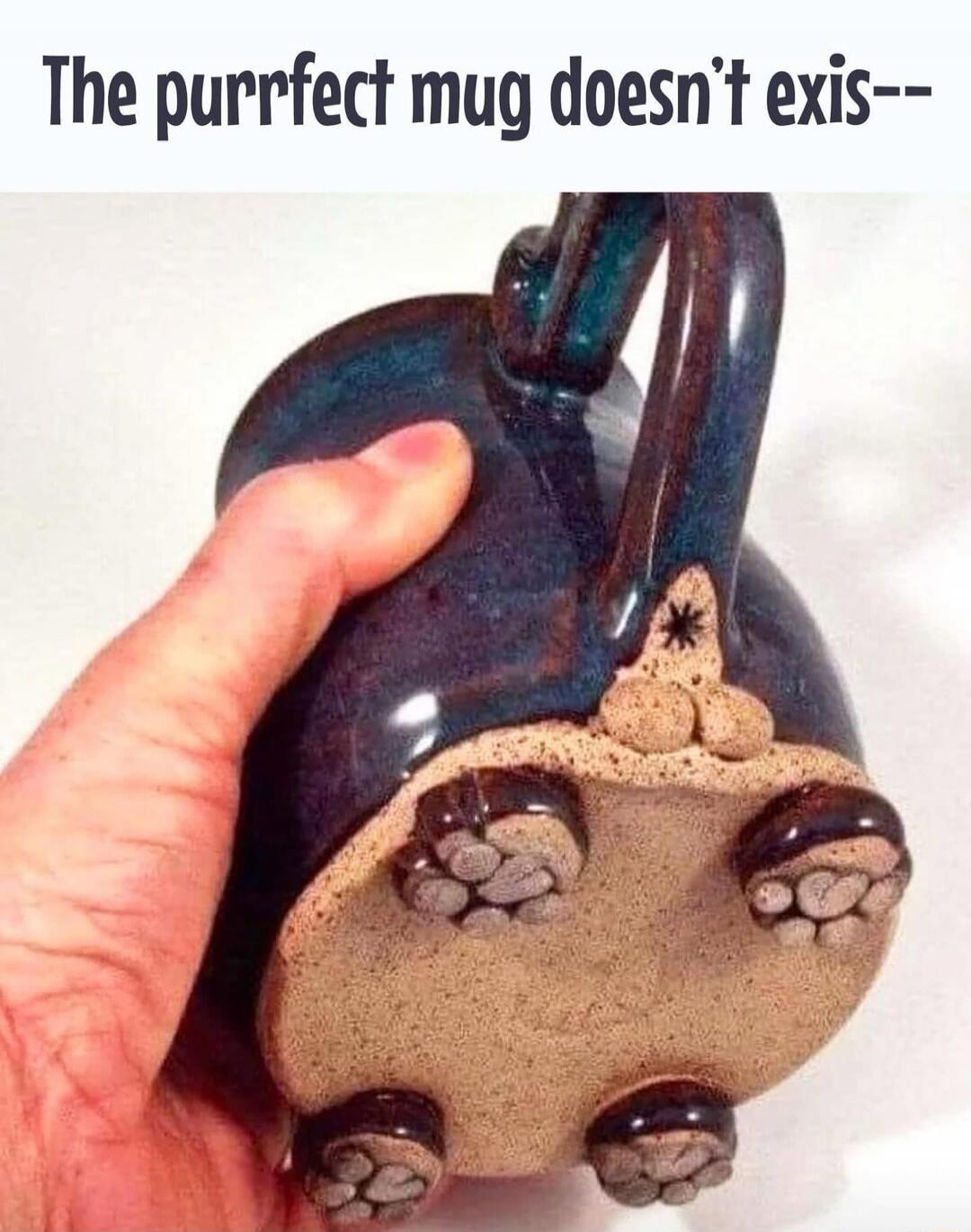The purrfect mug doesn't exis--