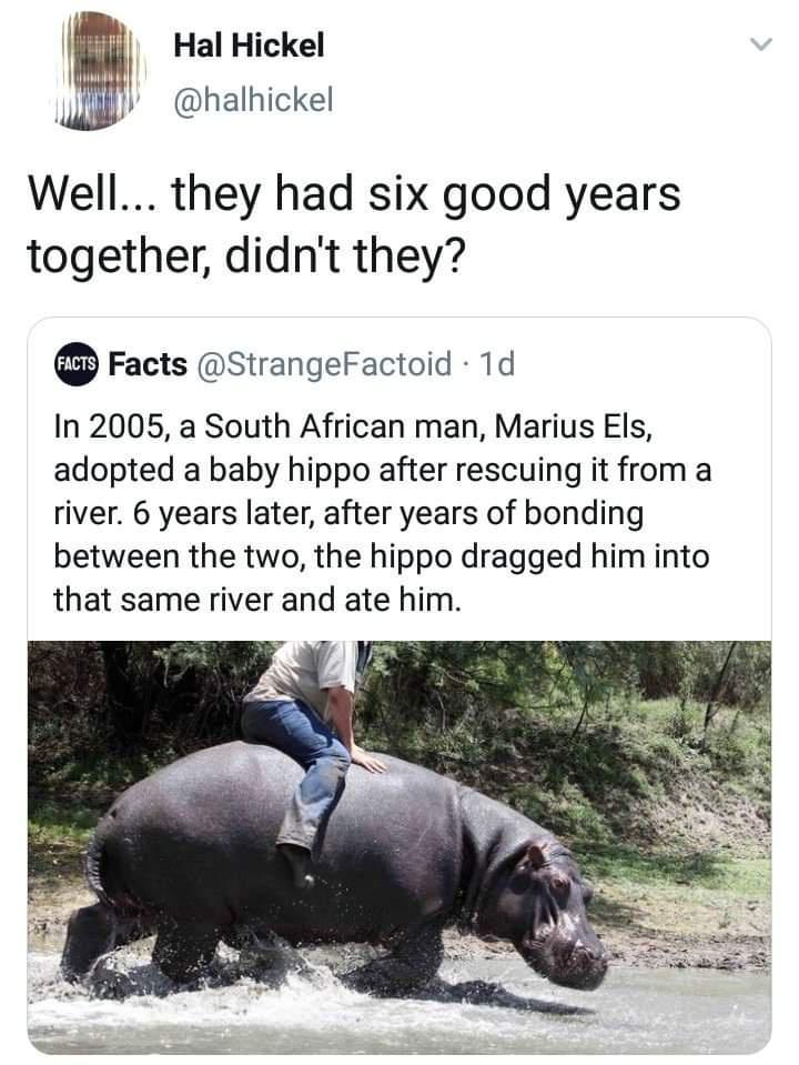 l i Hal Hickel U halhickel Well they had six good years together didnt they Facts StrangeFactoid 1d In 2005 a South African man Marius Els adopted a baby hippo after rescuing it from a river 6 years later after years of bonding between the two the hippo dragged him into that same river and ate him