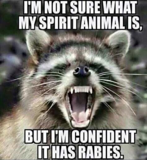 I'M NOT SURE WHAT MY SPIRIT ANIMAL IS, BUT I'M CONFIDENT IT HAS RABIES.