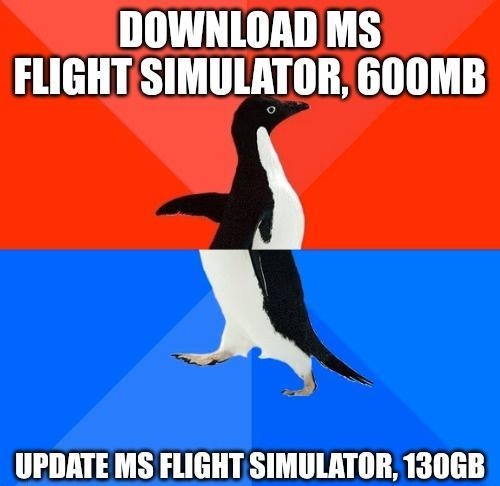 DOWNLOAD MS FLIGHTSIMULATOR 600MB A UPDATE MS FLIGHT SIMULATOR 130GB nnnnnn