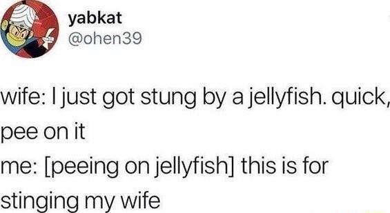 Q yabkat 289 ohen39 wife just got stung by a jellyfish quick peeonit me peeing on jellyfish this is for stinging my wife