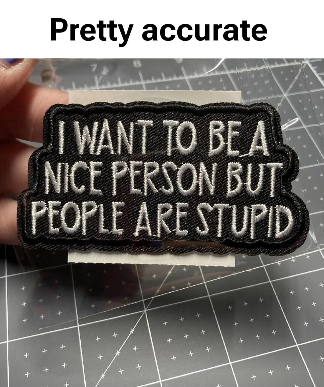 Pretty accurate I WANT TO BE A NICE PERSON BUT PEOPLE ARE STUPID