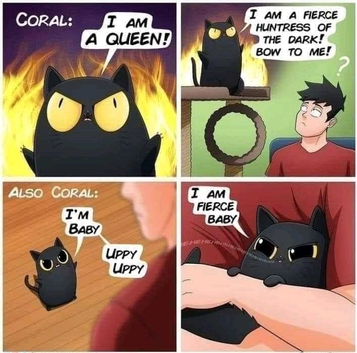 P07 HuNTRESS OF THE DARK I am FIERCE BABY B WEFLAPSCOMICS