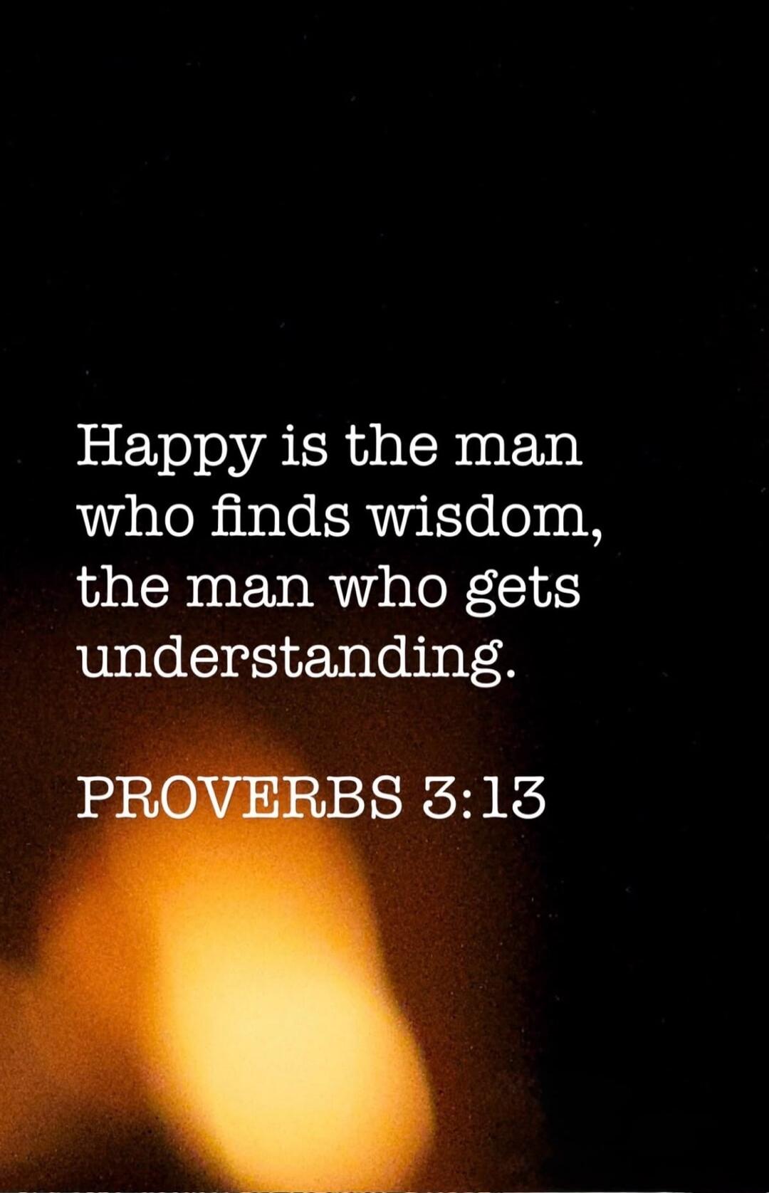 Happy is the man who finds wisdom, the man who gets understanding. PROVERBS 3:13