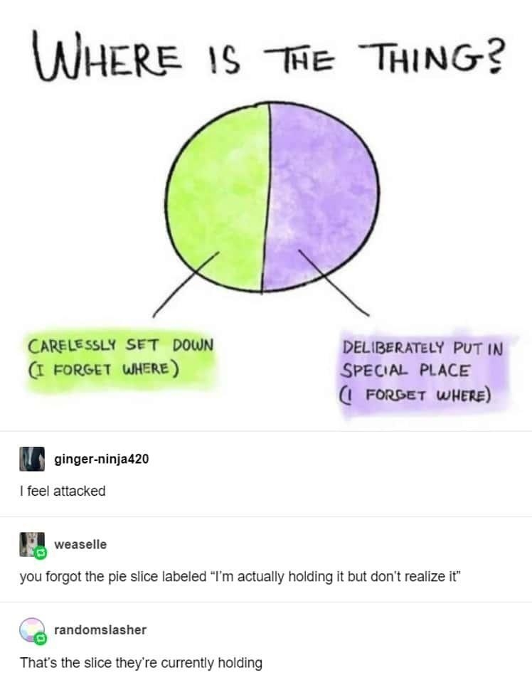 MHERE We THING I aversnioo 1 feel attacked You forgot the pie siice labeled Im actually holding t but dont realize It g rormsner Thats the sice theyre currently holding Sourca thegingerpowers 6038 notes s a