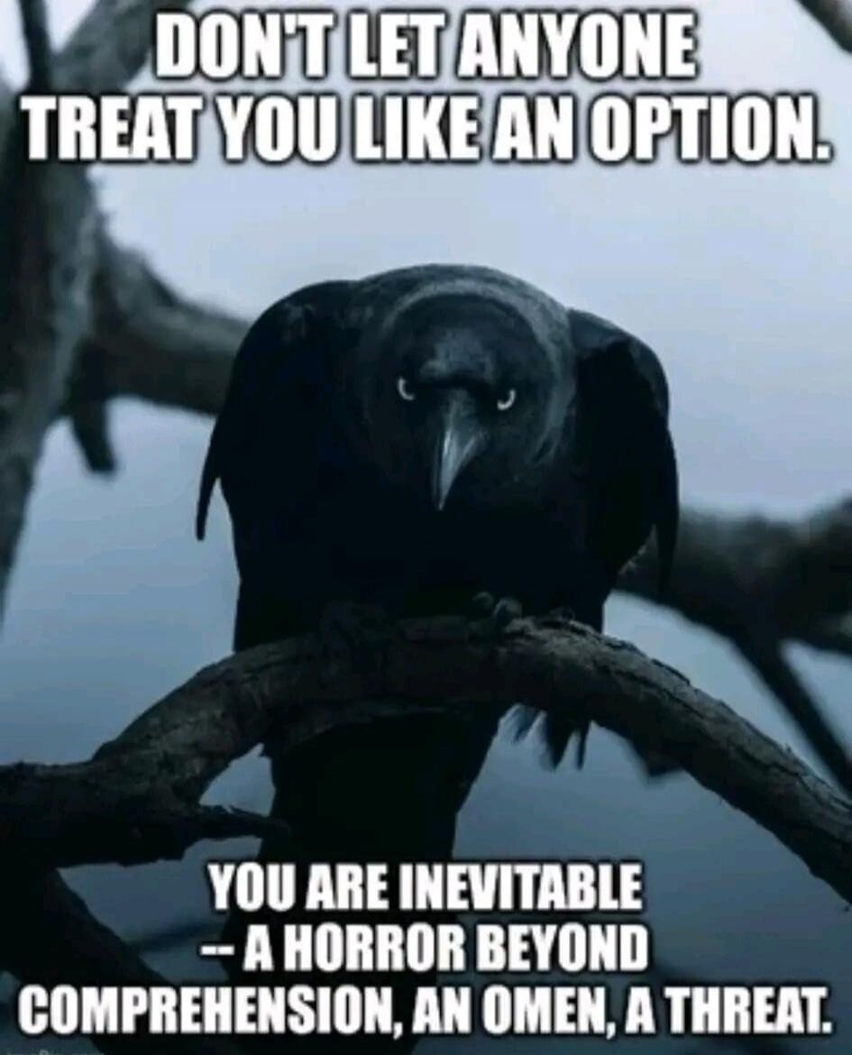 DON'T LET ANYONE TREAT YOU LIKE AN OPTION. YOU ARE INEVITABLE -- A HORROR BEYOND COMPREHENSION, AN OMEN, A THREAT.