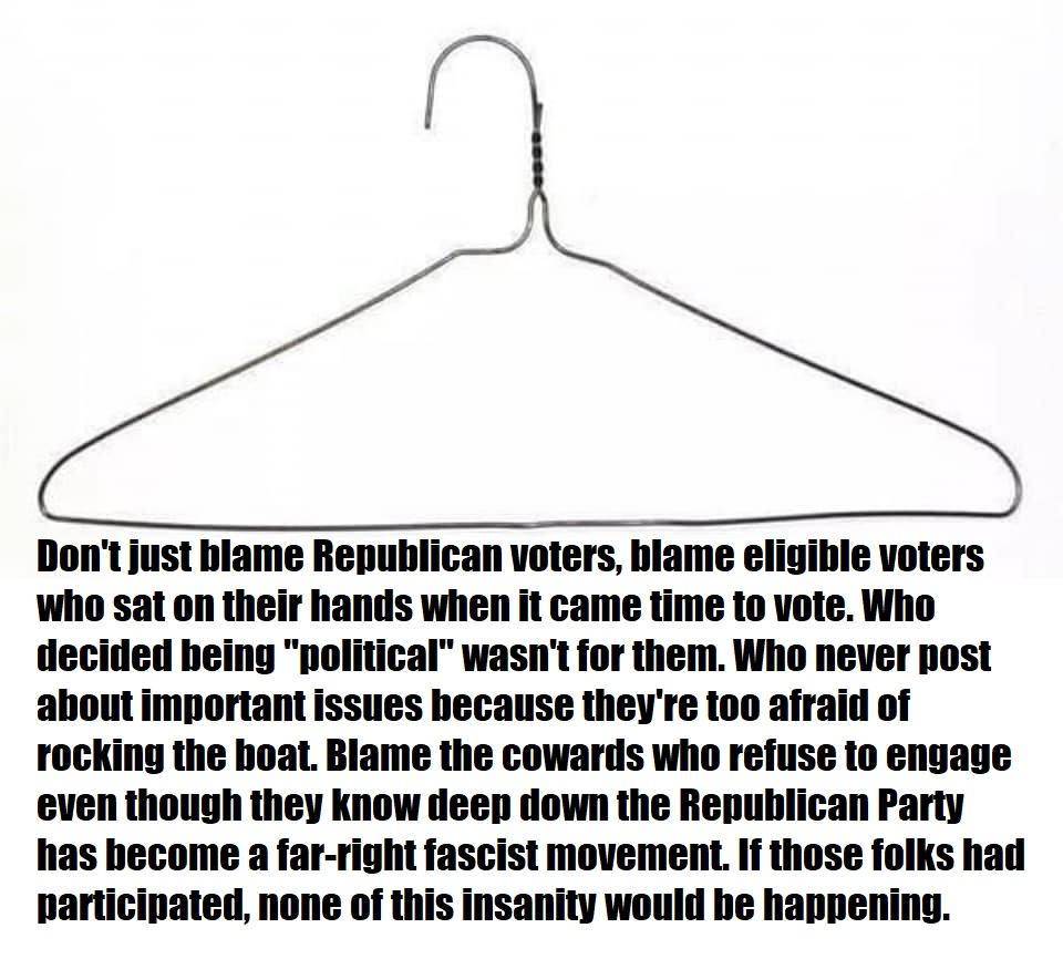 Dont just biame Republican voters blame eligible voters who sat on their hands when it came time to vote Who decided being political wasnt for them Who never post about important Issues because theyre too afraid of rocking the boat Blame the cowards who refuse to engage even though they know deep down the Republican Party has become a far right fascist movement If those folks had participated none